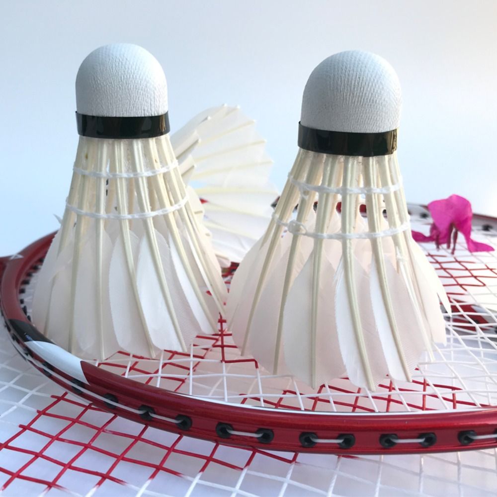 3/6/12Pcs 전문 배드민턴 셔틀콕 검은 거위 깃털 - Badminton Nylon Shuttlecock 리뷰 및 가격